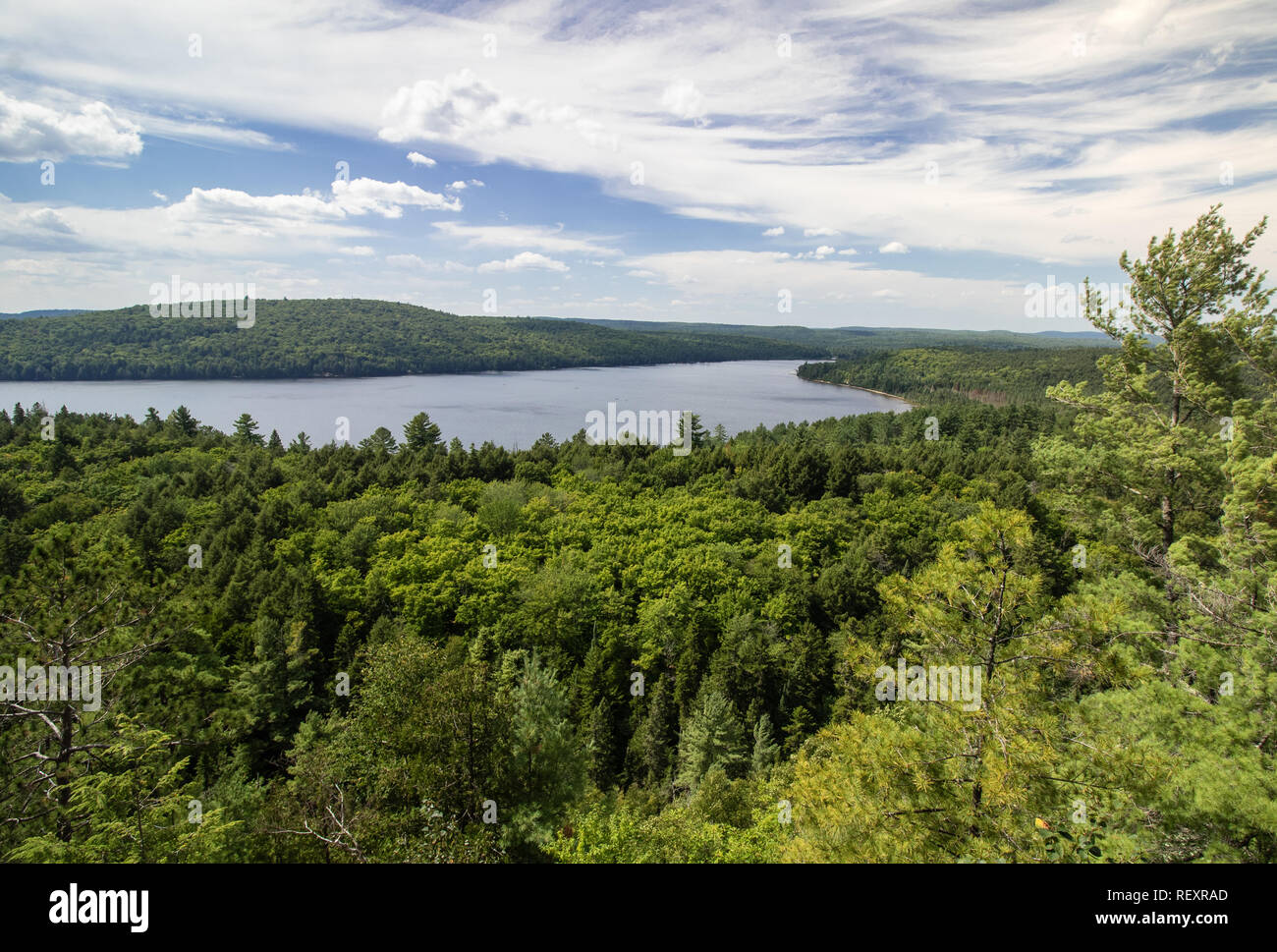 Mixed boreal forest hi-res stock photography and images - Alamy