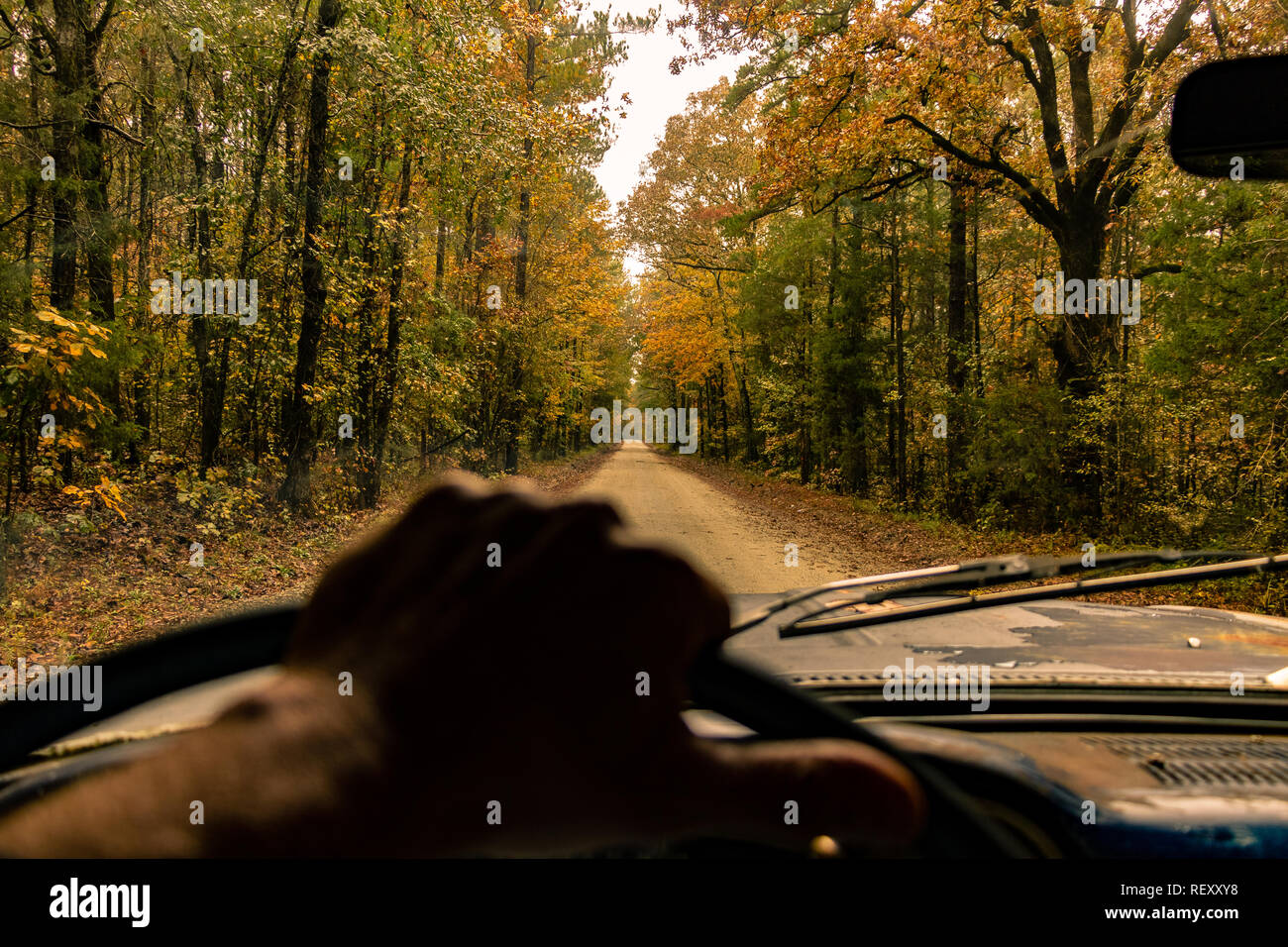 Rainy Backroad Stock Photo