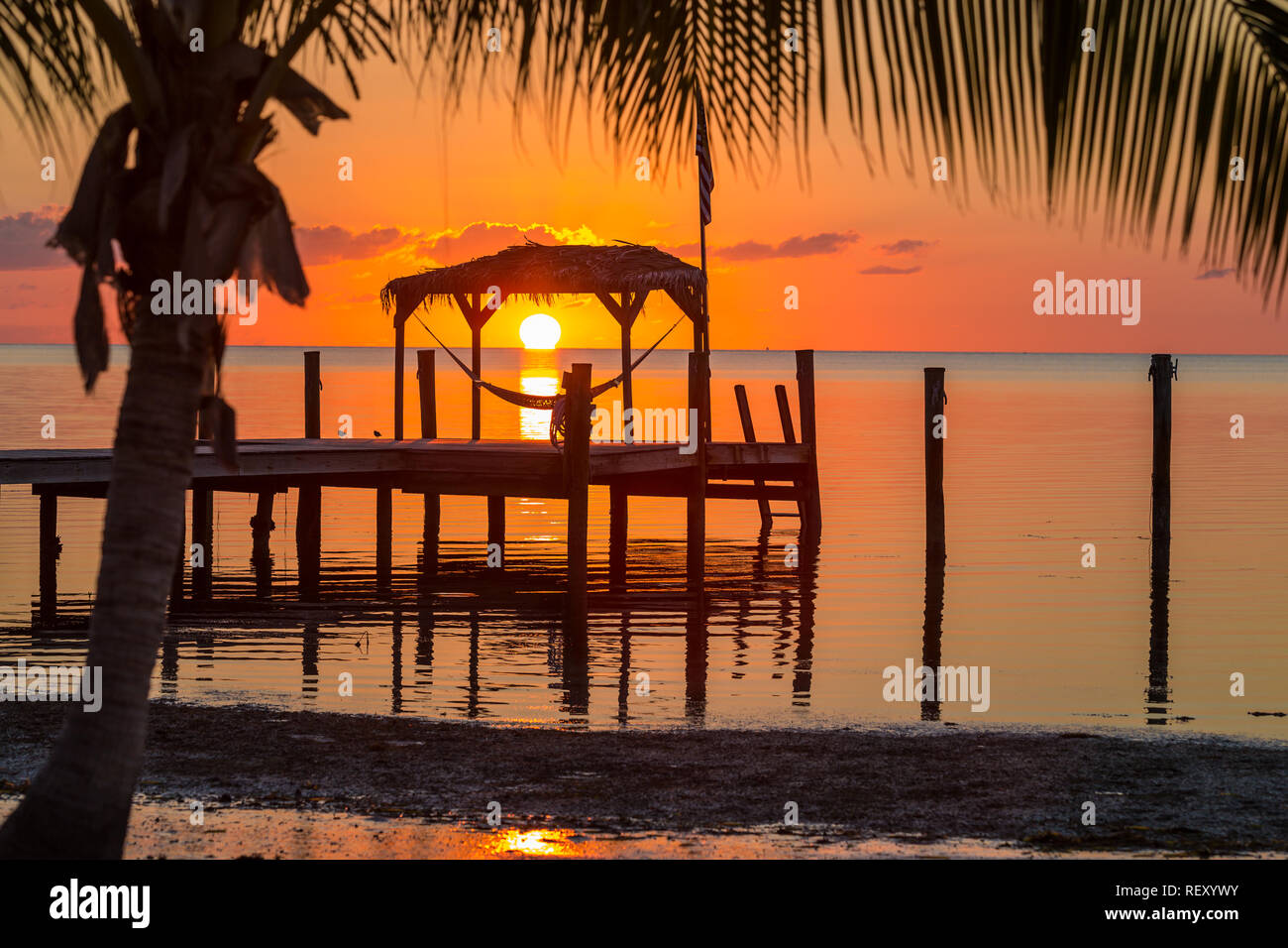 Sunrise over a hammock in Key West, Florida Stock Photo Alamy