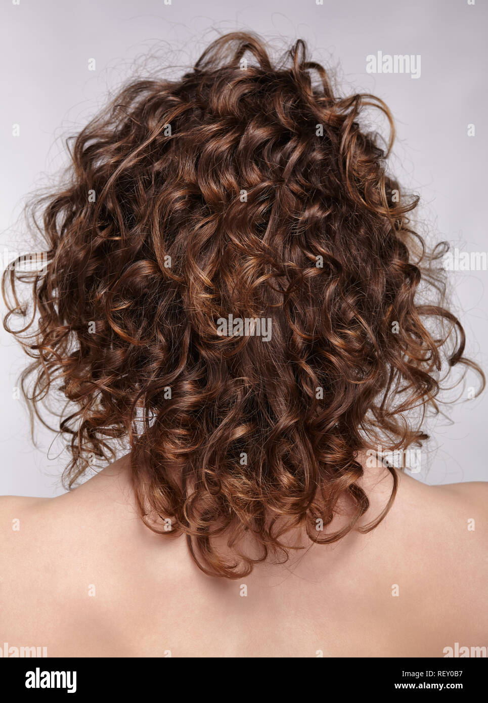 Woman from backside on gray background. Female with curly hair. Stock Photo