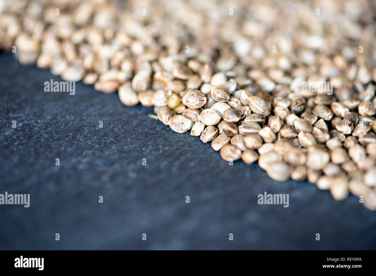 background composed of medical hemp seeds and slate surface Stock Photo