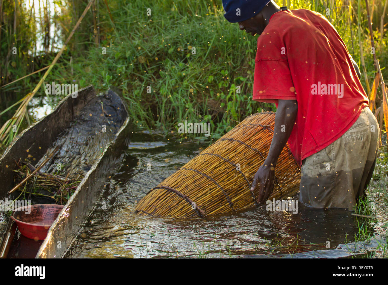 Fish trap basket hires stock photography and images Alamy