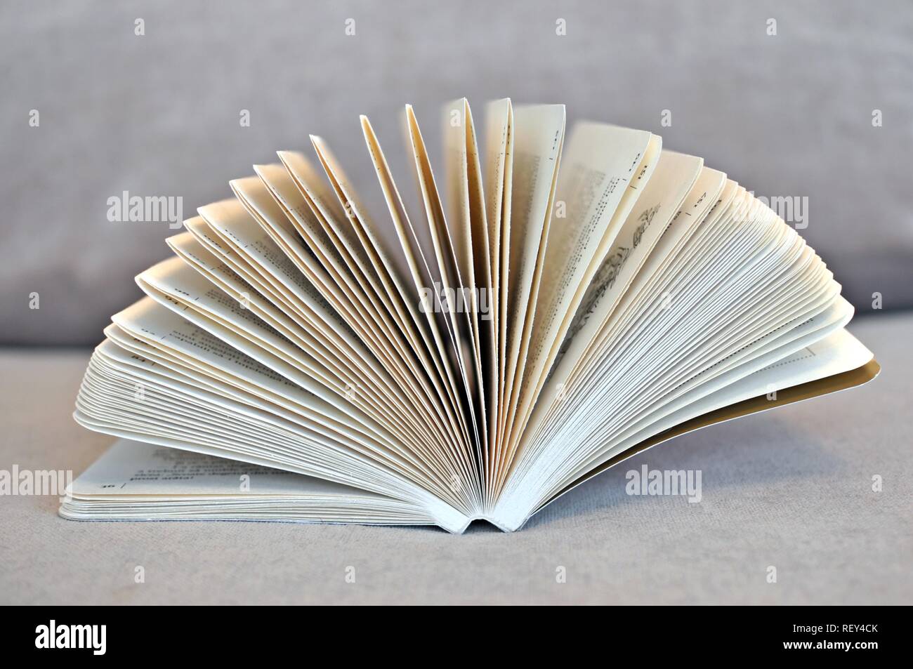Open book on gray background. Side front view Stock Photo