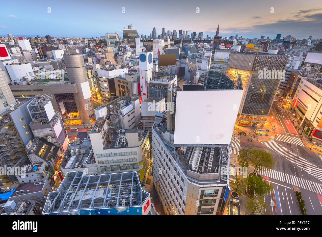 Tokyo, Japan city skyline over Shibuya Crossing at dusk with copy space. Stock Photo