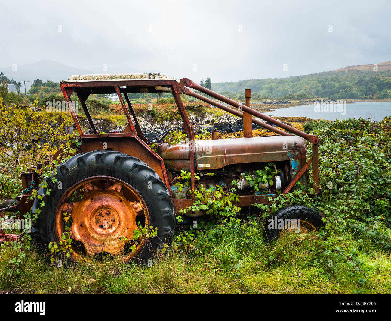 Old rusty tractor overgrown with weeds near a lake Stock Photo