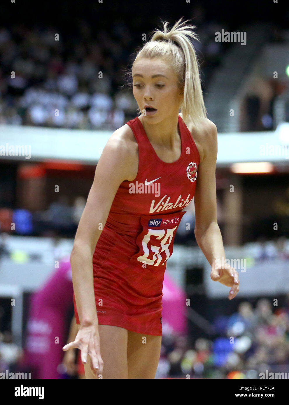 England Vitality Roses Helen Housby Stock Photo - Alamy