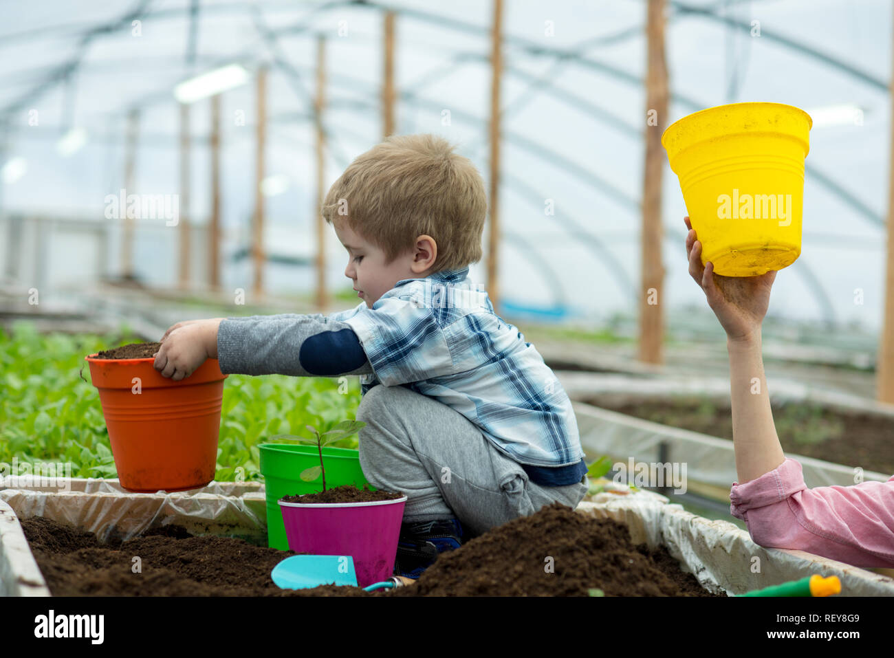 environmental. environmental protection concept. environmental