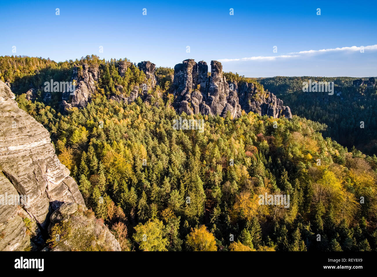 Landscape in the National Park Sächsische Schweiz with the rock formation Gansfels and trees Stock Photo