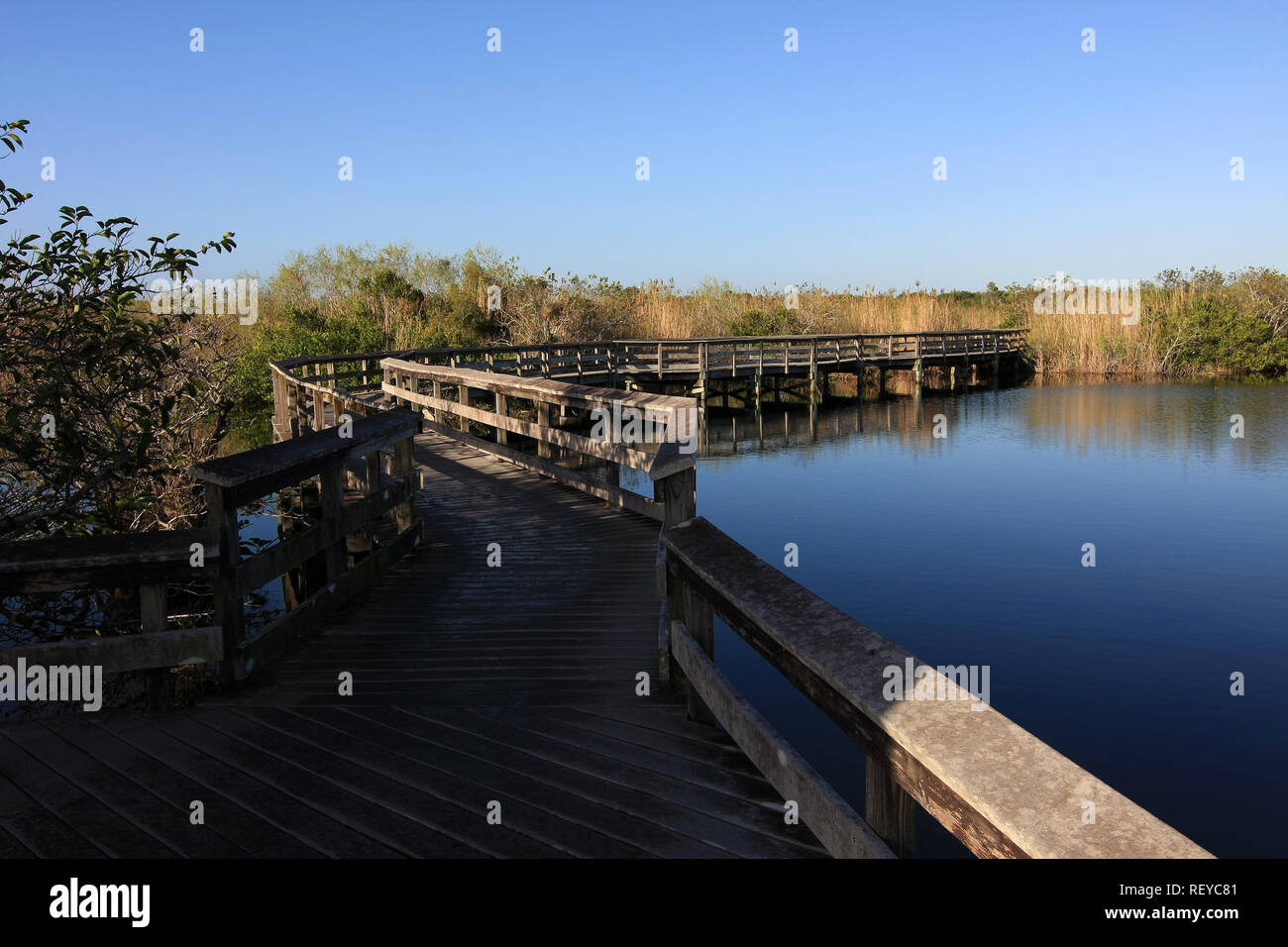 The Anhinga Trail boardwalk in Everglades National Park, Florida. Stock Photo