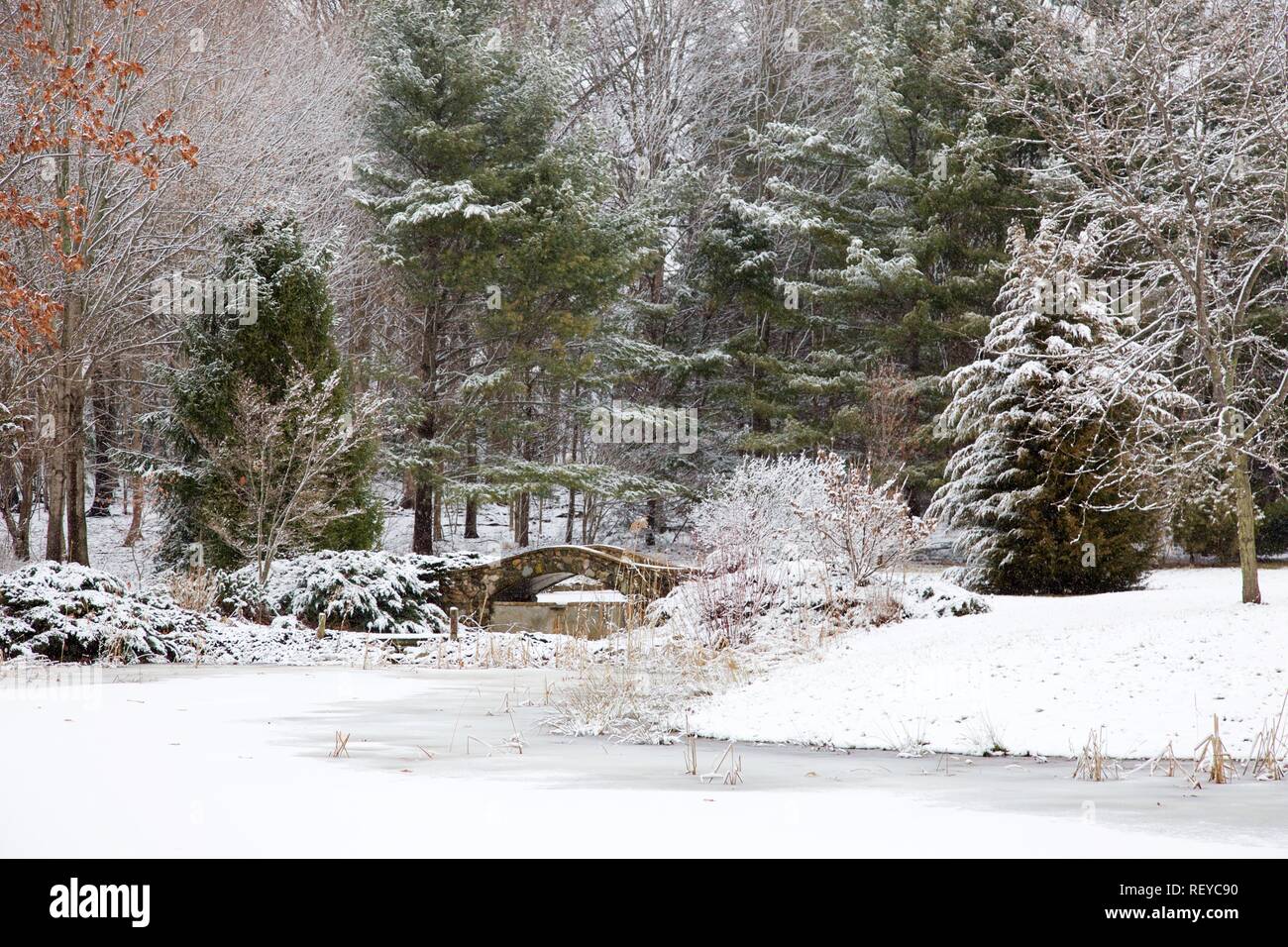 Scenic Winter Scene Stock Photo