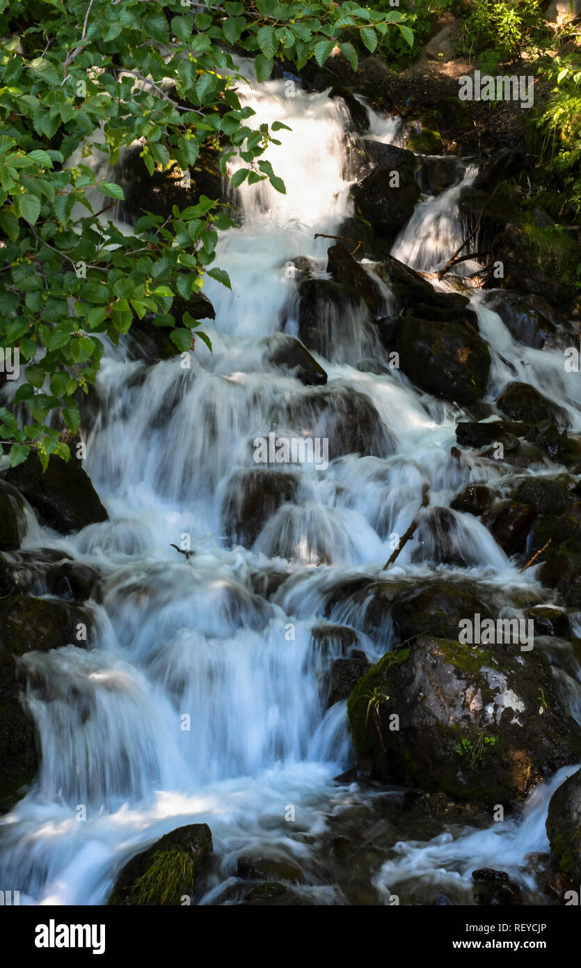Summer Flowing Waterfall Creek Stock Photo