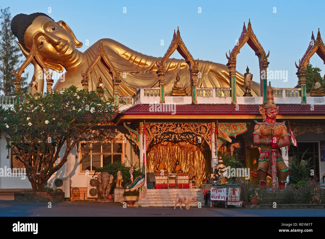 The Reclining Buddha of Wat Sri Sunthorn (Soonthorn) in Thalang, Phuket, Thailand, bathed in early morning light Stock Photo