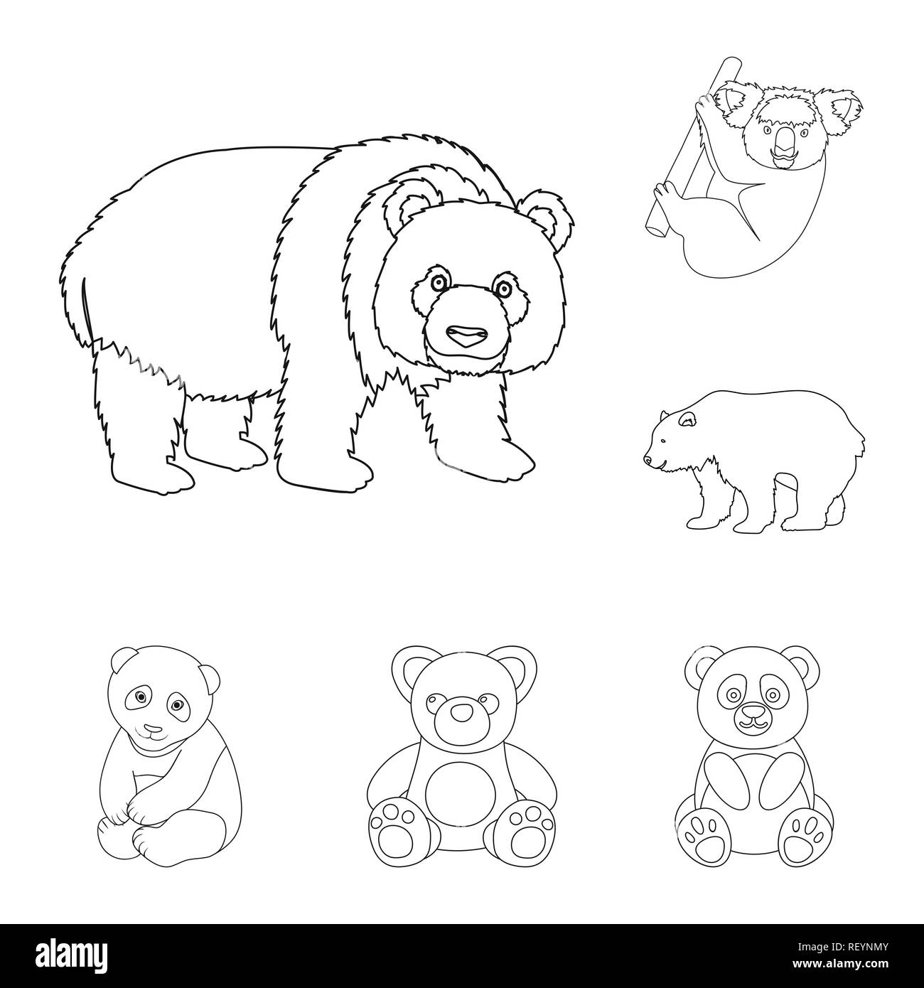 Free Sloth Bear Coloring Page | Coloring Page Printables | Kidadl