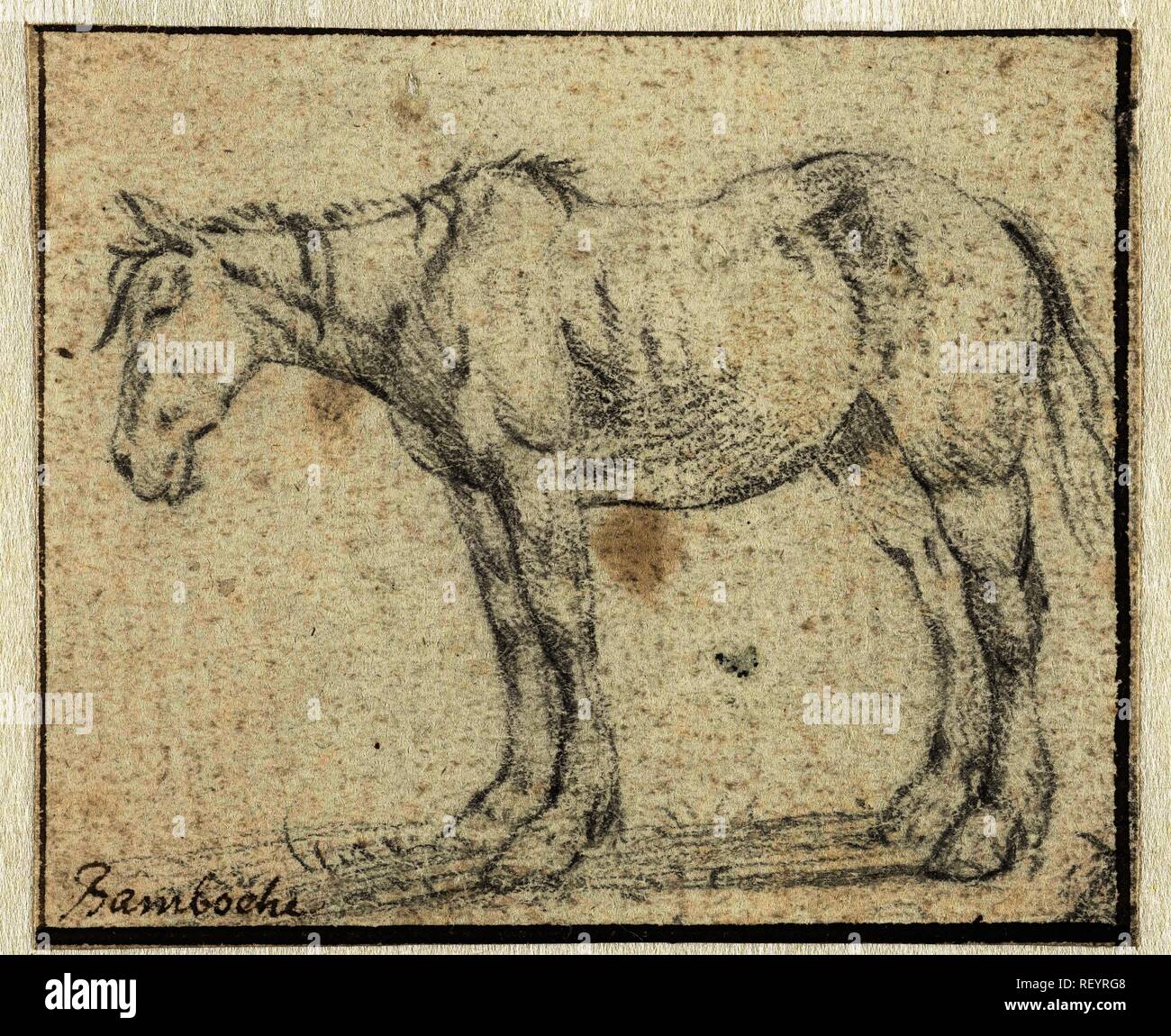 Standing horse, to the left. Draughtsman: Dirk Stoop. Dating: 1628 - 1681. Measurements: h 71 mm × w 85 mm. Museum: Rijksmuseum, Amsterdam. Stock Photo