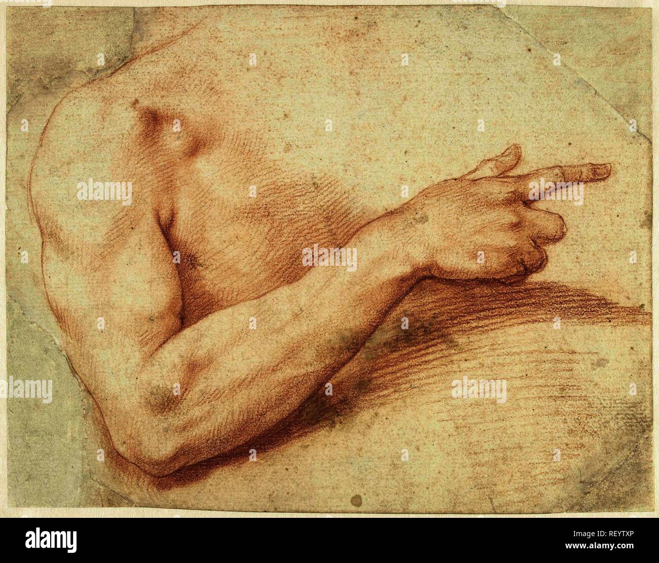 Study of an arm. Draughtsman: Giuseppe Cesari. Dating: 1578 - 1640. Measurements: h 178 mm × w 225 mm. Museum: Rijksmuseum, Amsterdam. Stock Photo