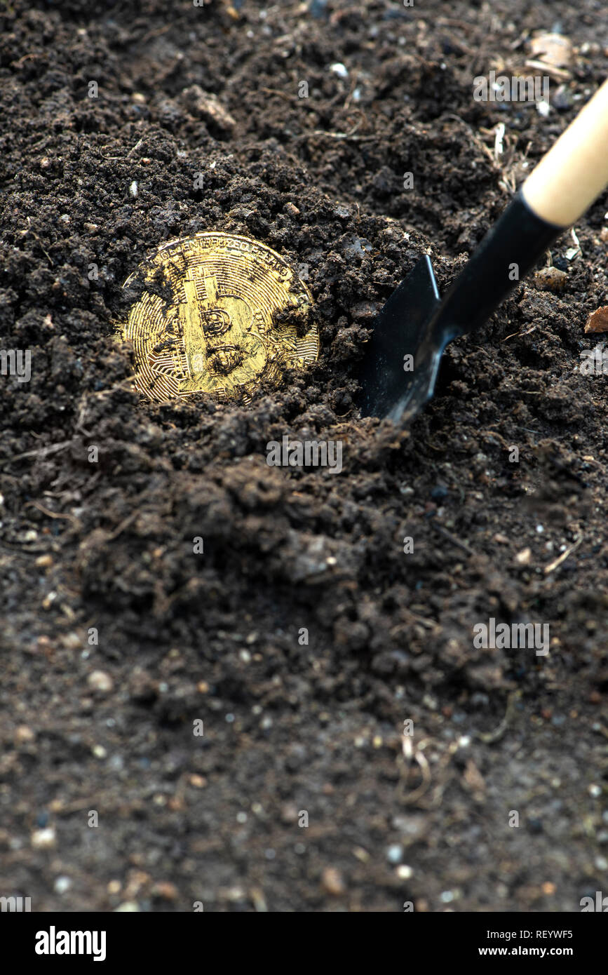 Bitcoin coin in the soil. Mining cryptocurrencies concept. Yellow buried  coin and shovel Stock Photo - Alamy