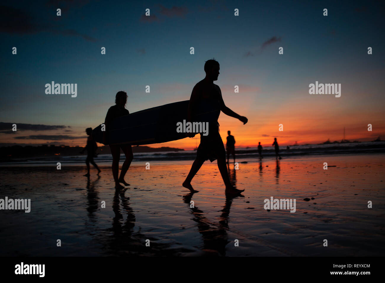 Silhouette of surfers walking in sunset carrying a longboard. Tamarindo