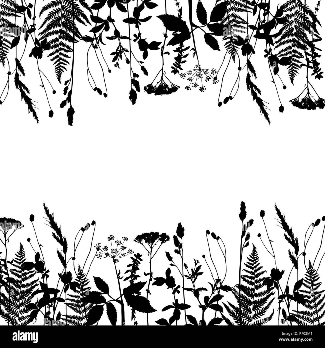 Download Vector Silhouette Of Meadow Wild Grass And Plants Isolated Horizontal Floral Frame On White Background Nature Lawn Composition Black And White Des Stock Vector Image Art Alamy