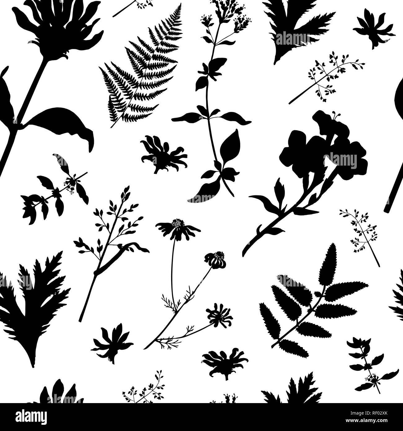 Seamless Floral Pattern With Wild Plants And Herbs Vector Silhouettes Of Flowers And Grass In Black And White Colours Endless Texture For Fashion De Stock Vector Image Art Alamy
