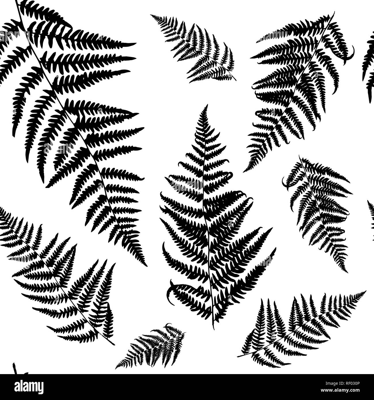 Seamless Floral Pattern With Fern Vector Silhouettes In Black And White Colours Endless Texture For Fashion Design Textile Backgrounds And Prints Stock Vector Image Art Alamy