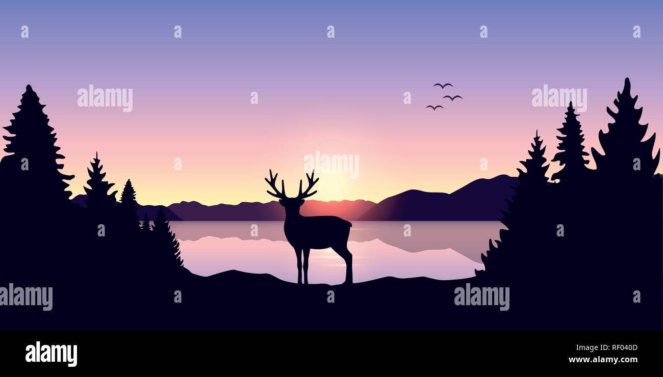reindeer by the lake at beautiful sunrise nature landscape vector illustration EPS10 Stock Vector