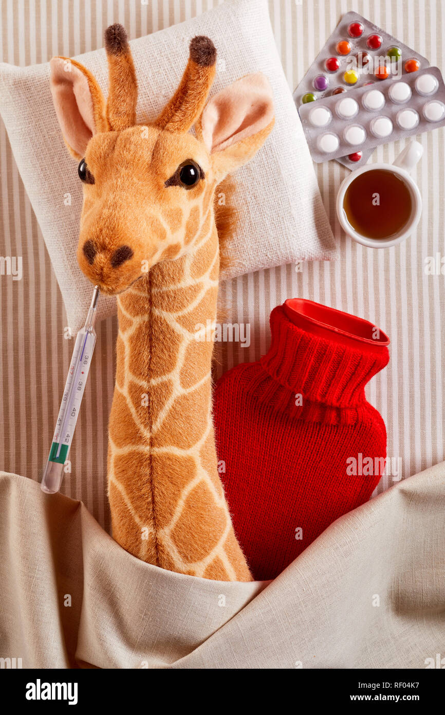 Sick little stuffed giraffe with chills and fever cuddling up in a bed with a hot water bottles, pills and a drink with a thermometer in its mouth in  Stock Photo