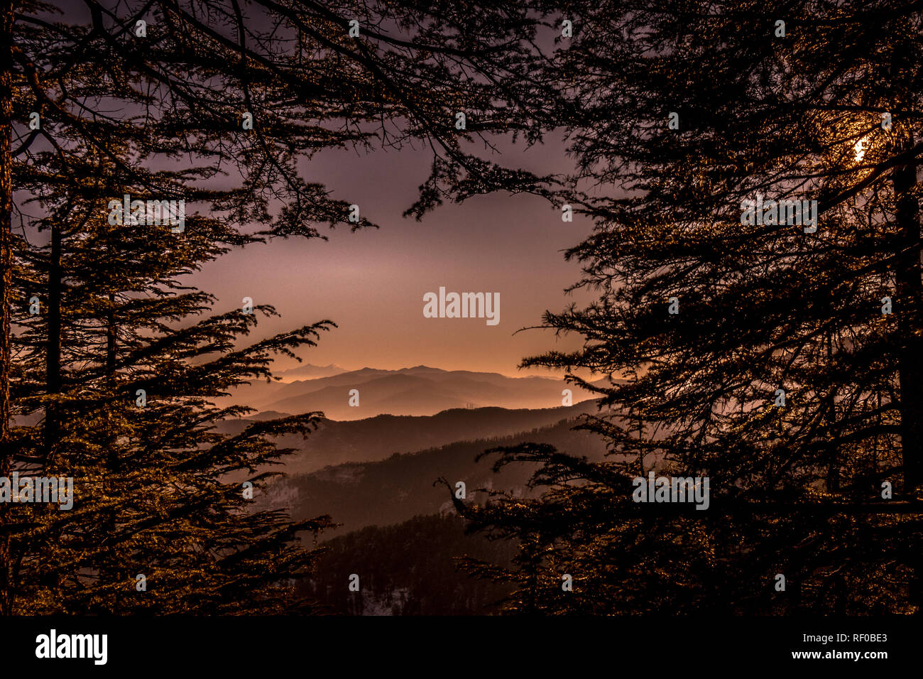 The morning raga! Stock Photo
