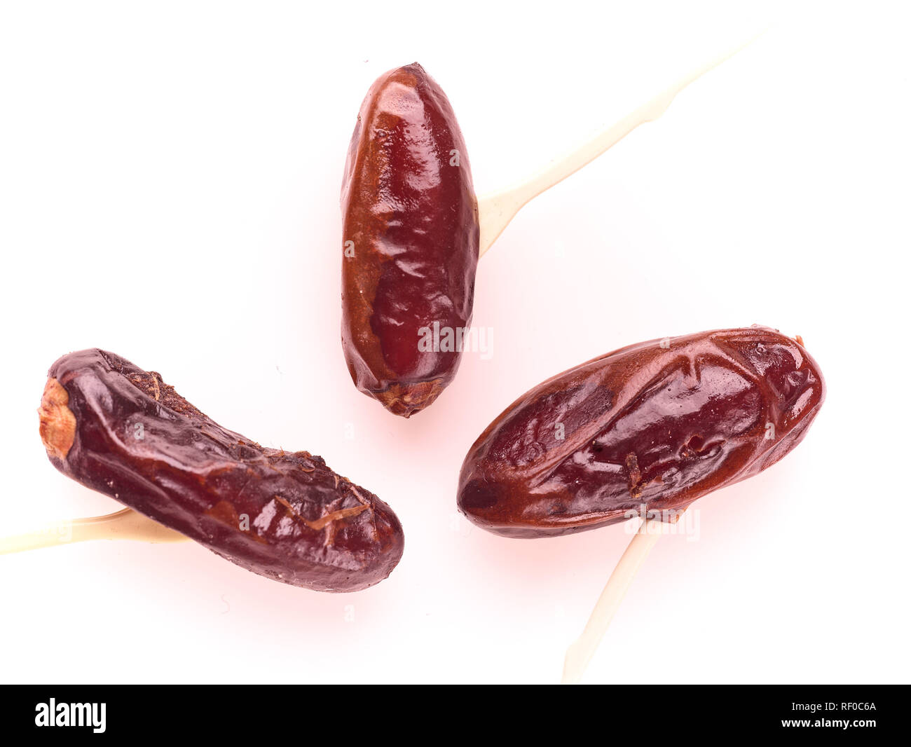 dates food still life photograph Stock Photo Alamy