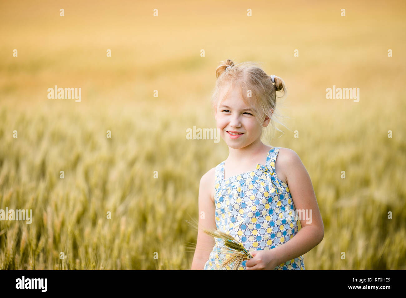Cute little girl on the field of rye Stock Photo - Alamy