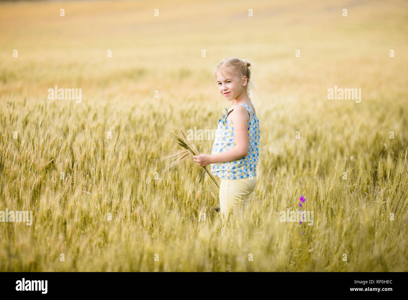 Cute little girl on the field of rye Stock Photo - Alamy