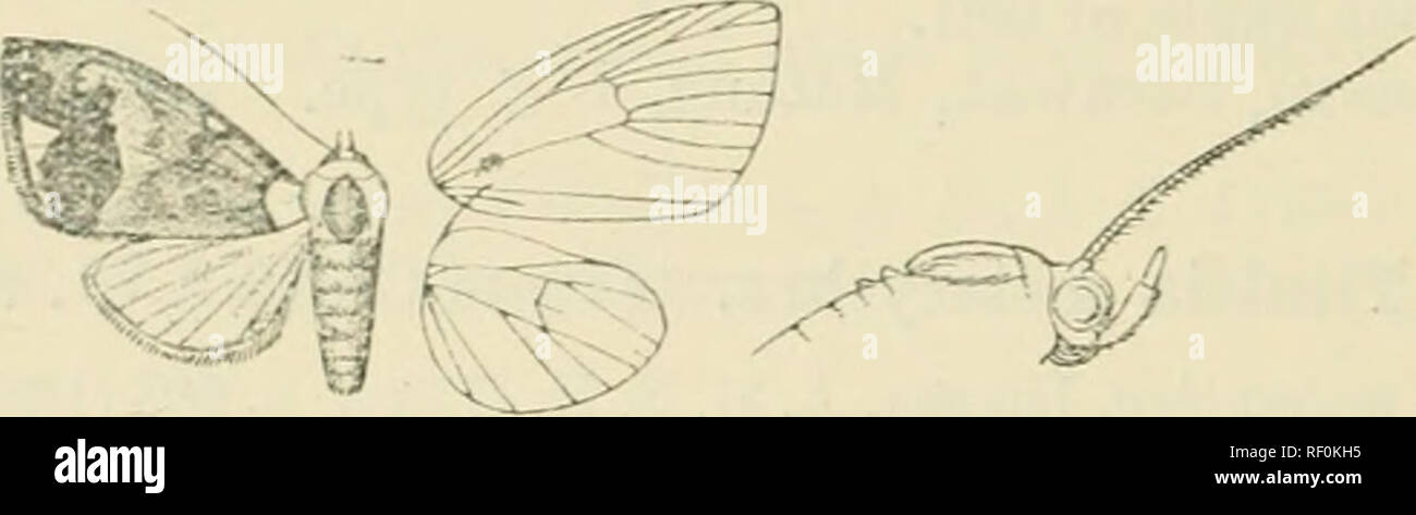 M L Kirby Hi Res Stock Photography And Images Alamy