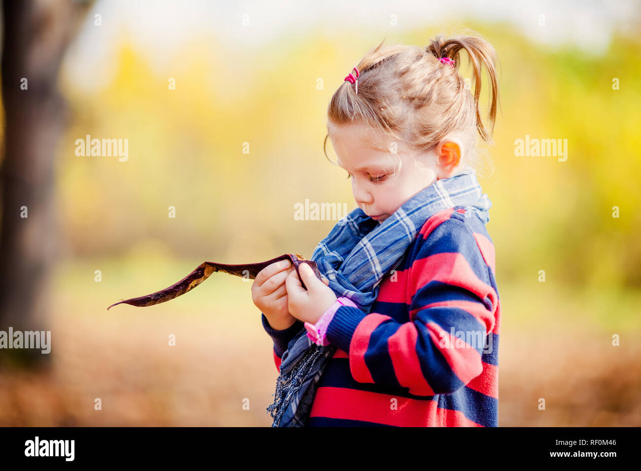 Portrait of little girl in autumn park with yellow foliage Stock Photo ...