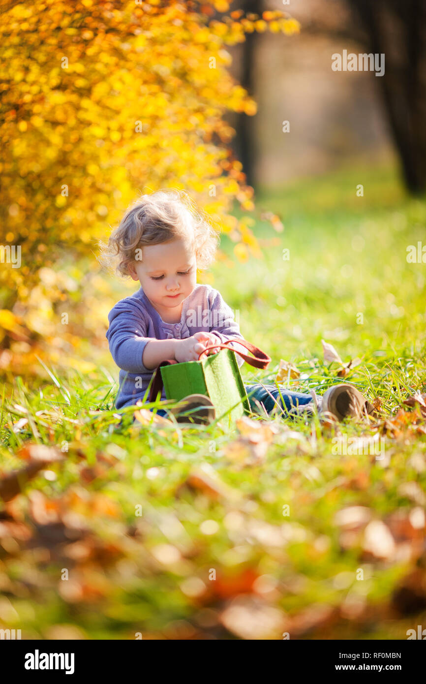 Adorable little girl with autumn leaves in the beauty park Stock Photo ...