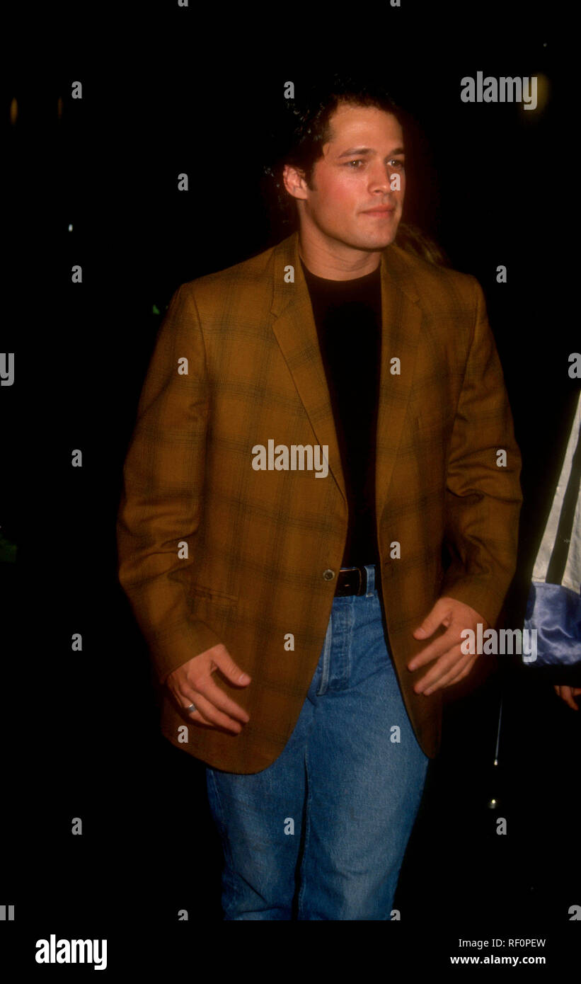 HOLLYWOOD, CA - OCTOBER 26: Actor David Gail attends 'Robocop 3' Premiere on October 26, 1993 at Hollywood Galaxy Theatre in Hollywood, California. Photo by Barry King/Alamy Stock Photo Stock Photo