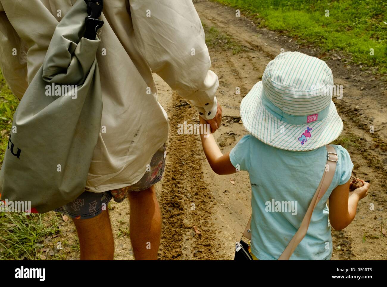 Father and daughter holding hands while walking outdoors in a forest, Mia Mia State Forest, Queensland, Australia Stock Photo