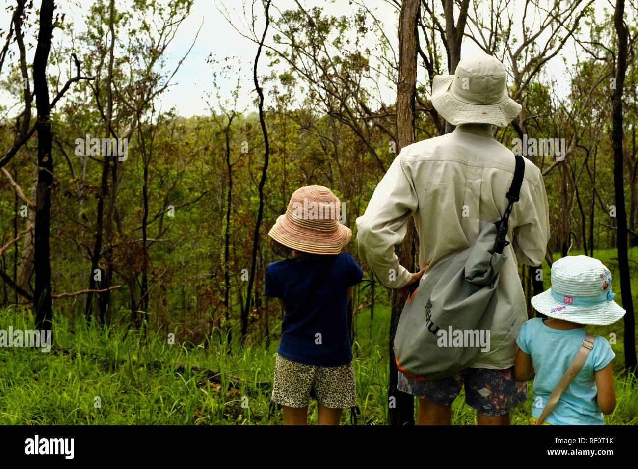 Children spending time with their father outdoors in a forest, Mia Mia State Forest, Queensland, Australia Stock Photo