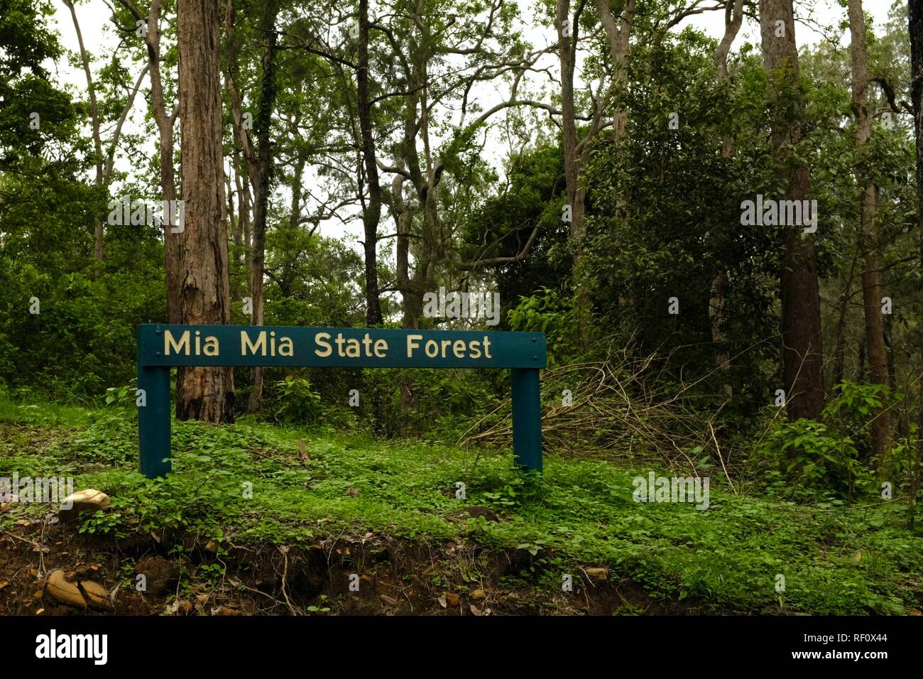 Mia Mia state forest sign, Mia Mia State Forest, Queensland, Australia Stock Photo