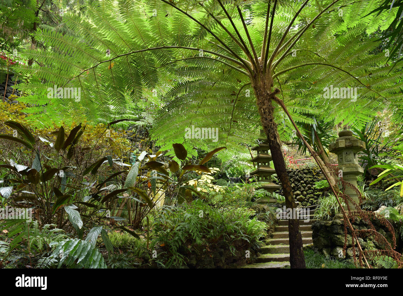 Monte Palace tropical garden Madeira Stock Photo