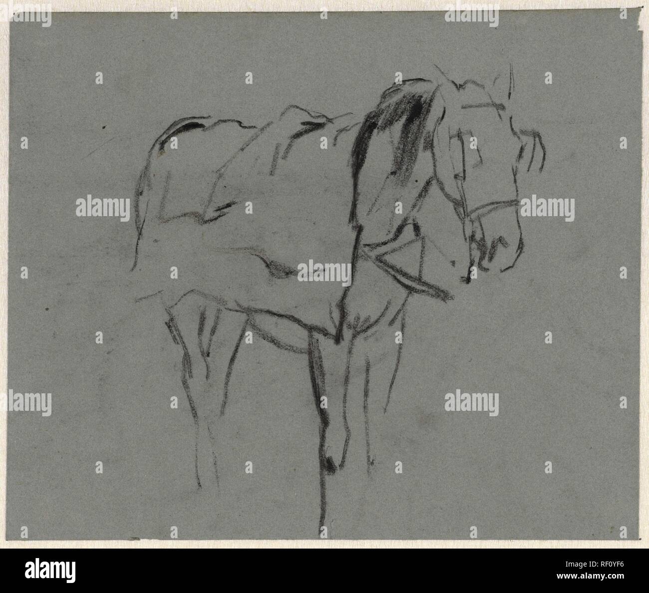 Horse. Draughtsman: Anton Mauve. Dating: 1848 - 1888. Measurements: h 141 mm × w 169 mm. Museum: Rijksmuseum, Amsterdam. Stock Photo