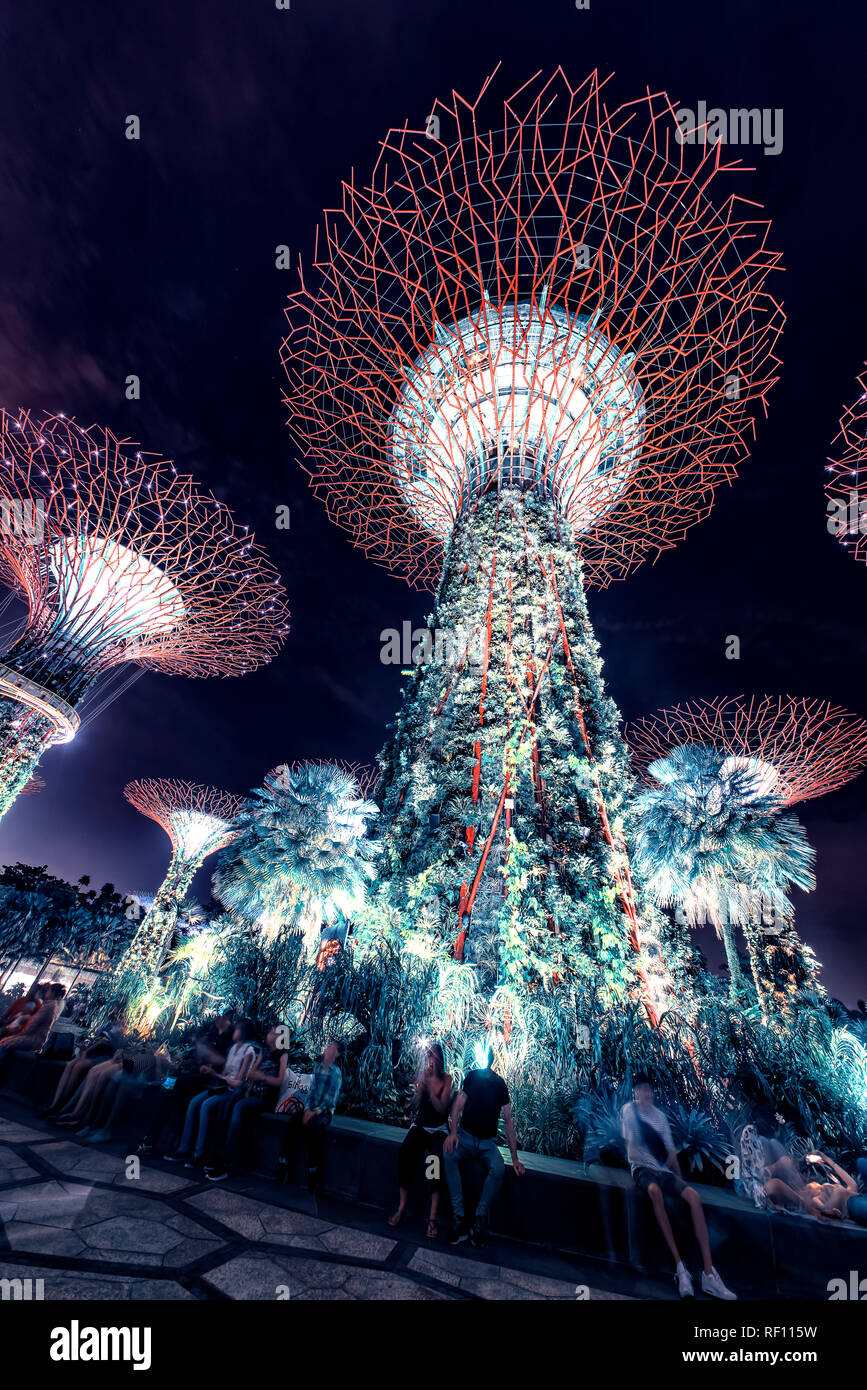 Singapore gardens bay tree hi-res stock photography and images - Alamy