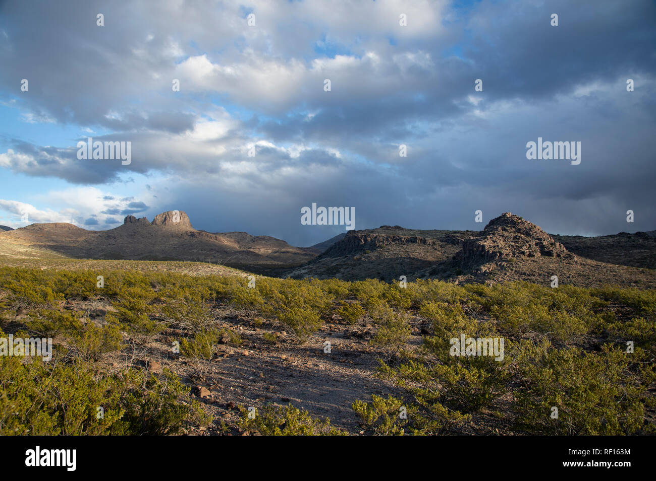 Arizona rain desert hi-res stock photography and images - Alamy