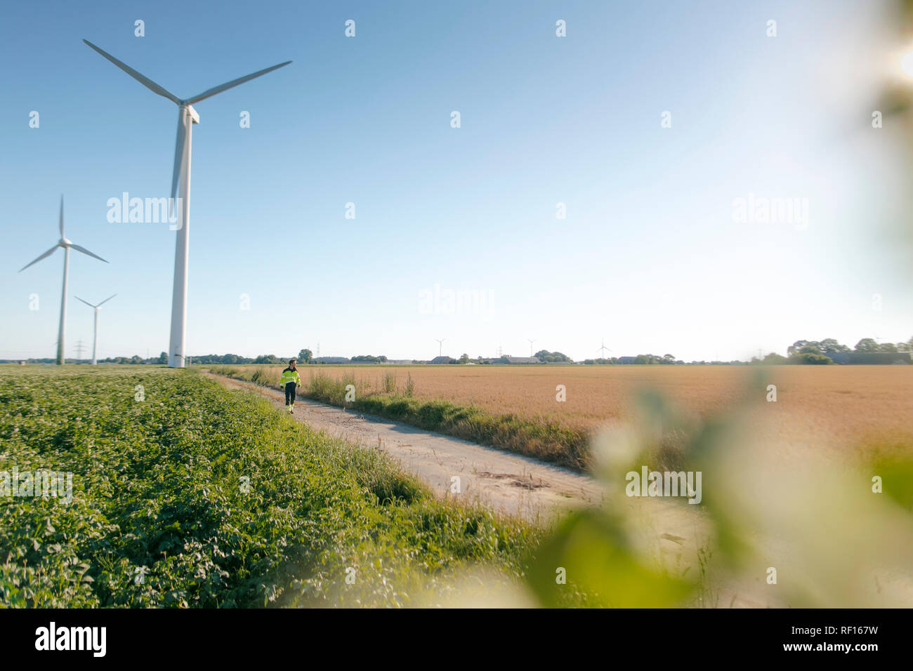 Engineer walking on field path at a wind farm Stock Photo
