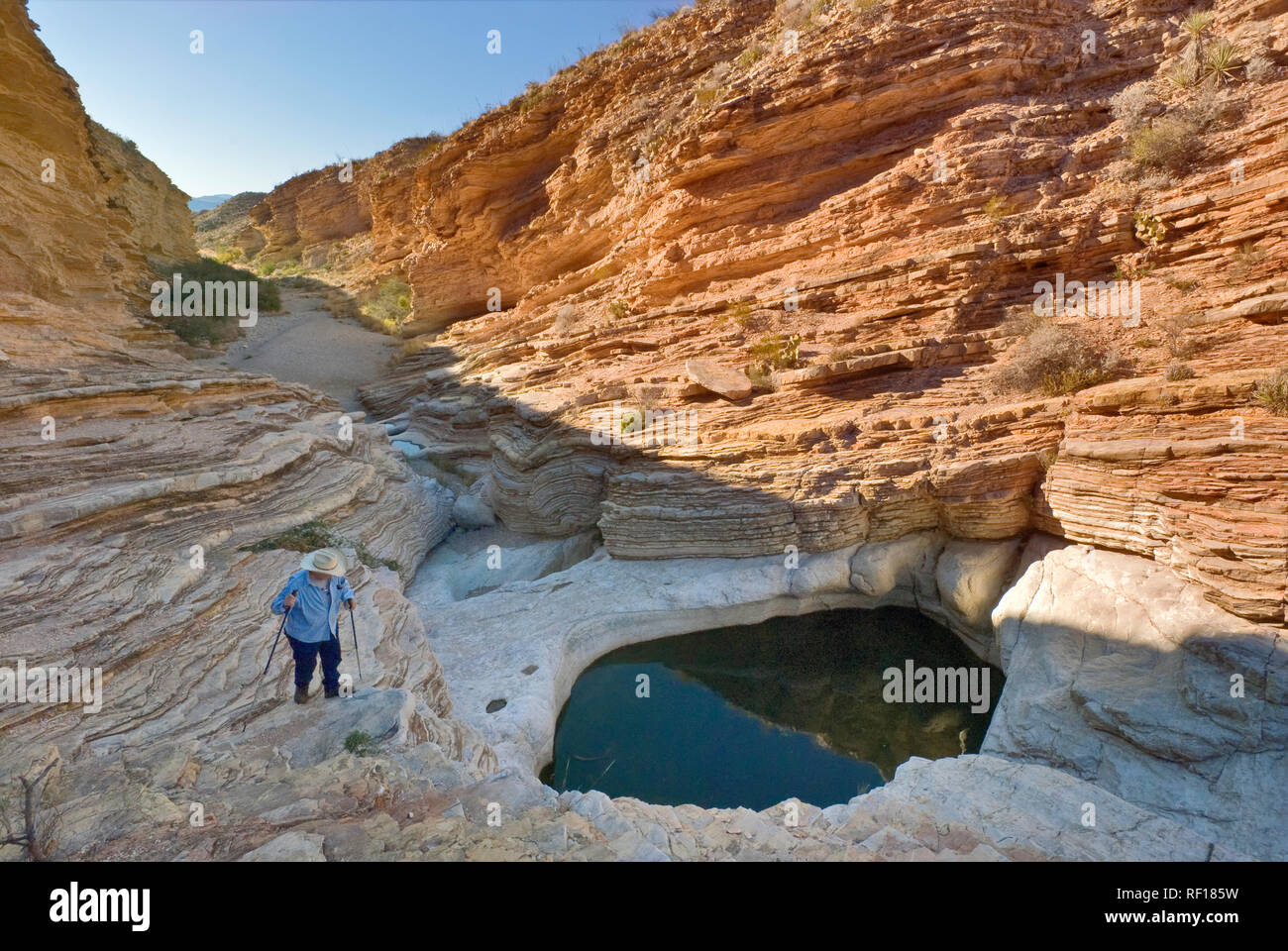 Hikers at Ernst Tinaja water pools, Chihuahuan Desert in Big Bend National Park, Texas, USA Stock Photo