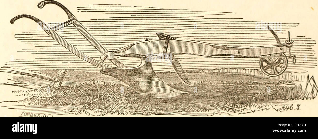 . Catalogue of garden, flower, field and grass seeds, &c