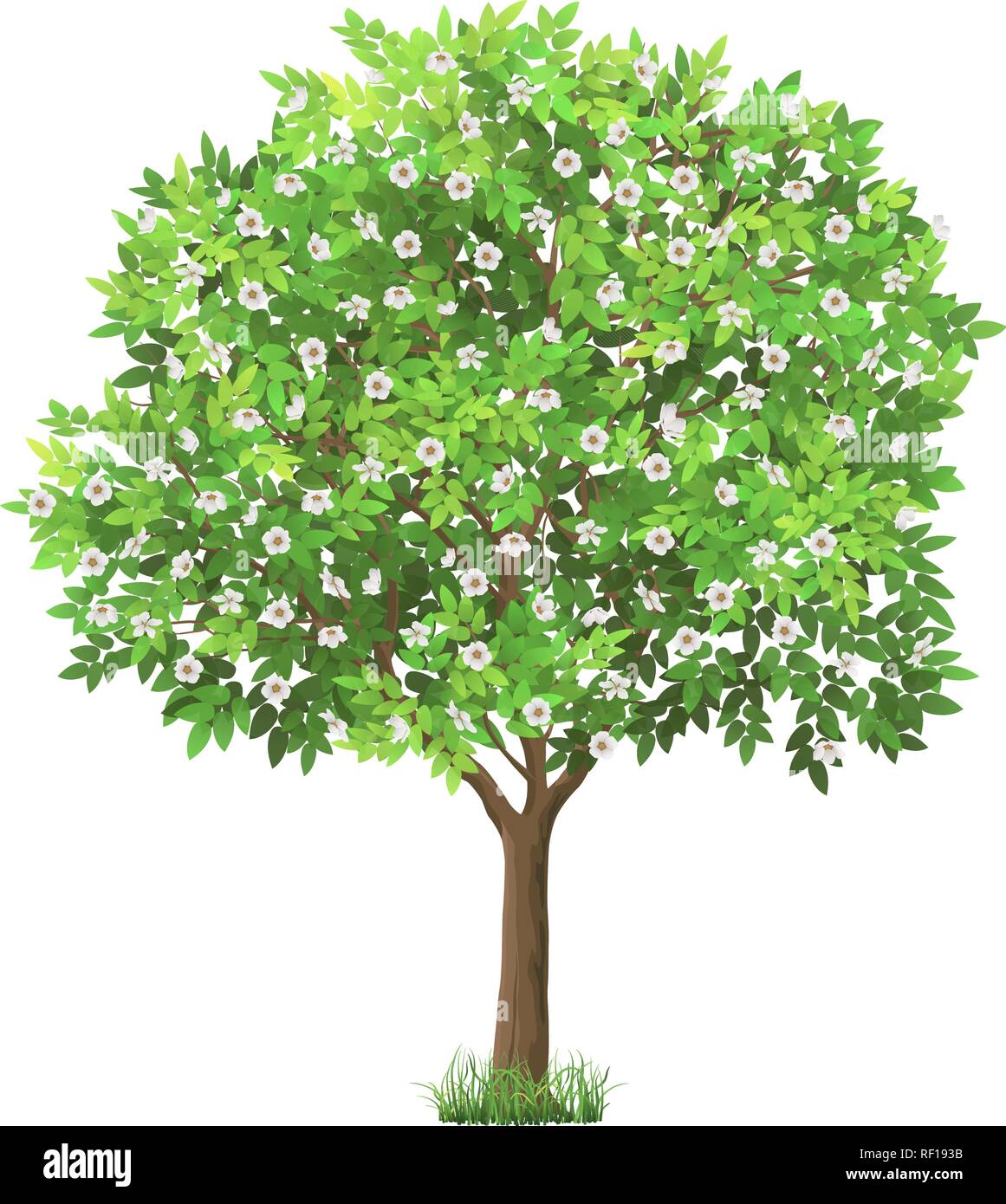 Vector realistic blooming tree Stock Vector