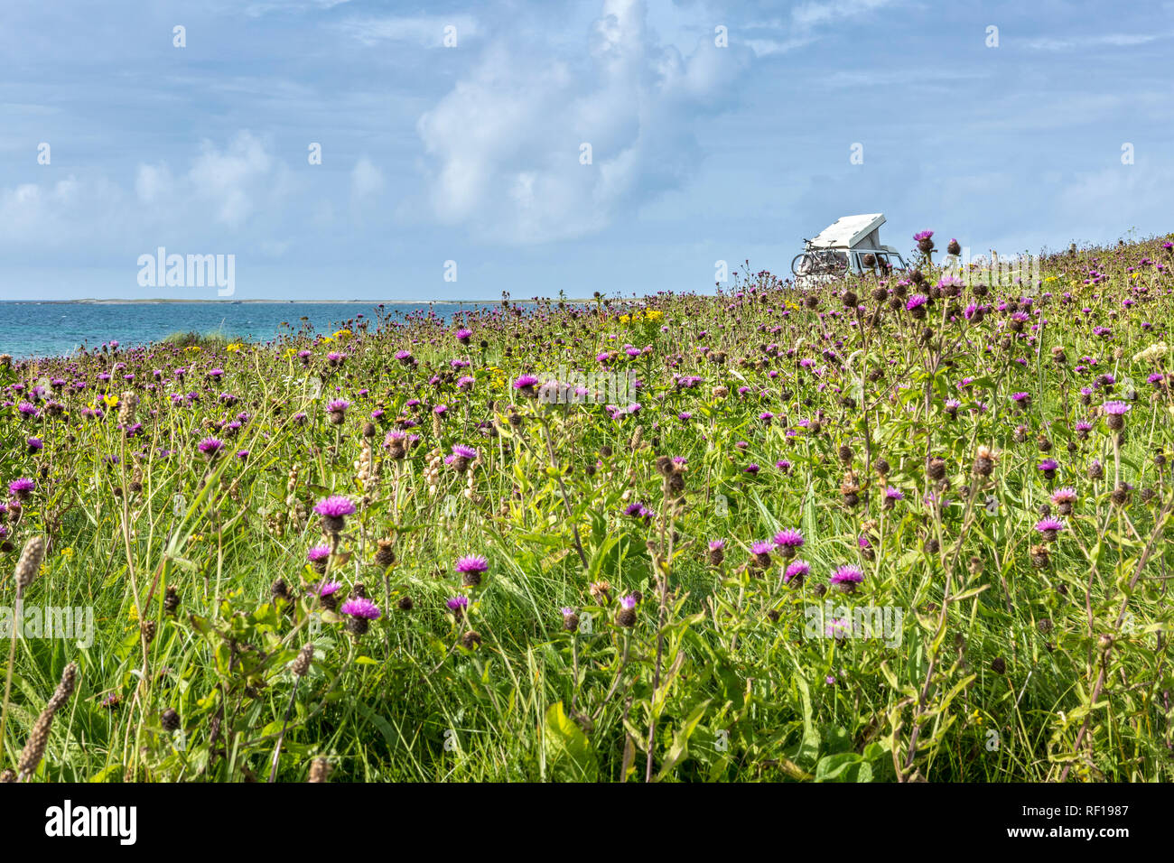 Camper van in wildflower meadow by the ocean, Balranald RSPB Nature Reserve, Isle of North Uist, Outer Hebrides, Scotland, UK Stock Photo