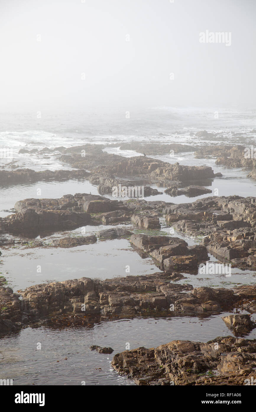 Light Fog Rockpools in Cape Town, South Africa Stock Photo