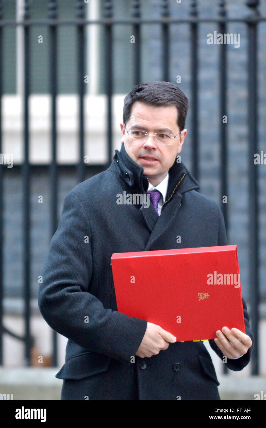 James Brokenshire MP, Secretary of State for Housing, Communities and Local Government, leaving Downing Street after a cabinet meeting 22.01.2019 Stock Photo