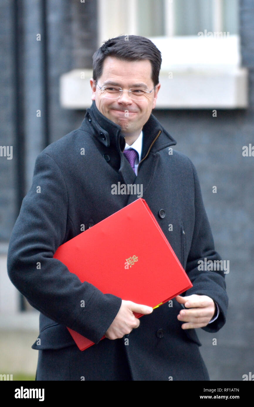 James Brokenshire MP, Secretary of State for Housing, Communities and Local Government, leaving Downing Street after a cabinet meeting 22.01.2019 Stock Photo