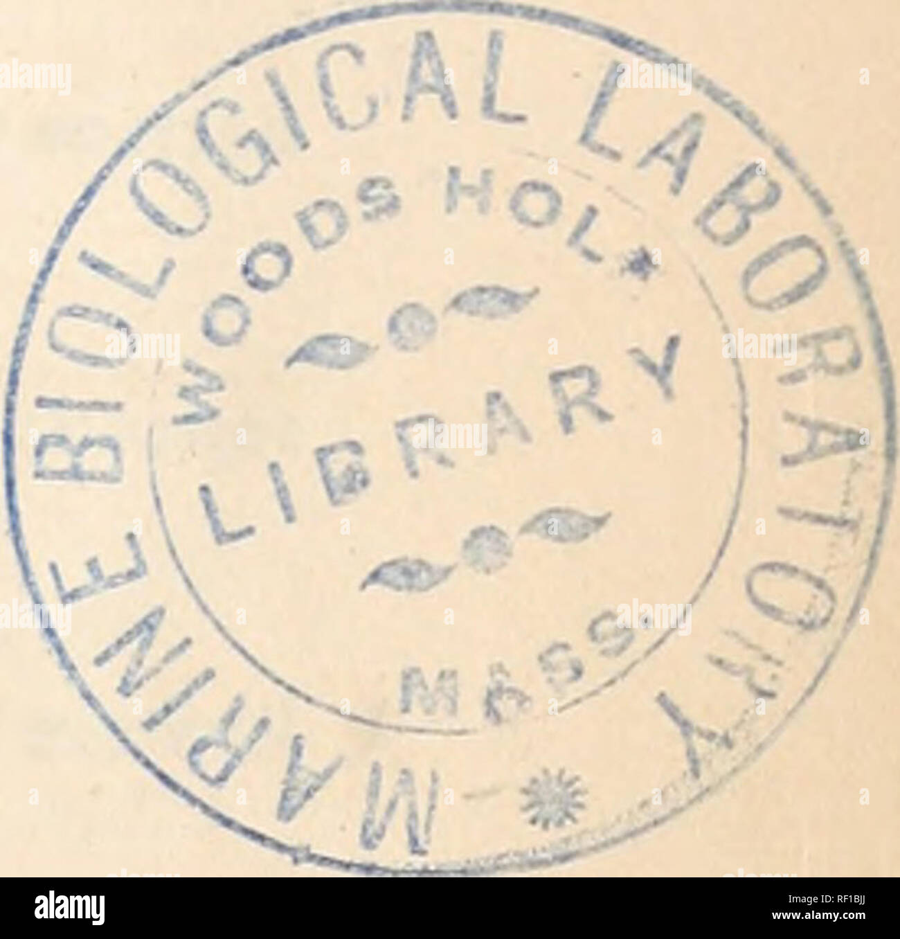 Sm U 33 High Resolution Stock Photography And Images Alamy